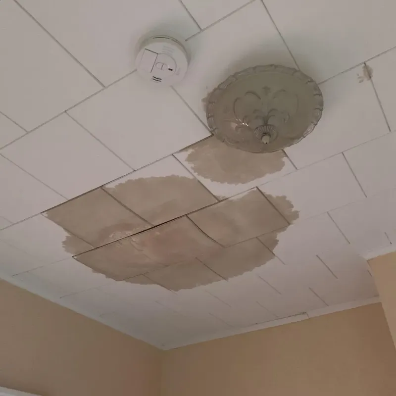 Ceiling Water Damage Repair in Lafourche Parish, LA